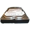 HP 300GB Hard Drive 15K SAS WS **Refurbished** (Atnaujinta)