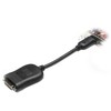 Hewlett Packard (HP) Adapteris AV HP DisplayPort (DP) į DVI-D adapteris