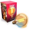 Innr Lighting Innr Zigbee E27 Filament Globe G95 - 600lm