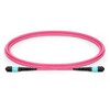 Lanview LVO230410-MTP-2XS kabelis InfiniBand / światłowodowy 10 m MPO/UPC Violetinis