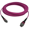 Lanview LVO230407-MTP, 7 m, OM4, MTP, MTP