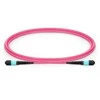 Lanview Lanview LVO230403-MTP kabelis InfiniBand / światłowodowy 3 m Violetinis