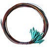 Lanview Pigtail LC/UPC 50/125 OM3 2 m (LVO-PIG-LCUPC-12CORE-OM3-2M)