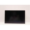 Lenovo DISPLAY AUO 16.0 WUXGA IPS AG diskas