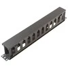 Serveris MicroConnect Organizer kabelis 19" 1U (CABLEMANA-3)