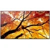 Monitorius Sharp M552, 55" M-Series LFD, UHD 4K (3840x2160), 550cd/m2,