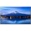 Monitorius NEC Sharp P436, 43" P-Series LFD, UHD 4K (3840x2160), Brightness