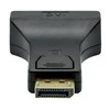AV adapteris ProXtend Rodyti Uostas - DVILI juodas (JAB- 6964738)