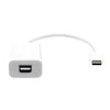 ProXtend USB adapteris USB-C į Mini DP 20cm baltas
