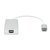 Proxtend USB-C į Mini DP 20 cm sidabrinis