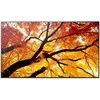 Monitorius Sharp M322 32IN LFD FHD D-LED - 450CD/QM 24/7 USB MP