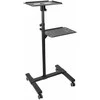 StarTech PROJECTOR AND LAPTOP STAND/.