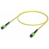 Ubiquiti Indoor OS2 single-mode fiber