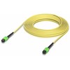 Ubiquiti Indoor OS2 single-mode fiber