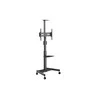 Laikiklis VivoLink Mobile stand upto VESA
