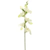 Baltai žalias dirbtinis kardelis ant koto, 57 cm