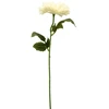 Baltas dirbtinis astro žiedas ant koto, 50 cm