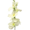 Baltas dirbtinis kardelis ant koto, 57 cm