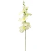 Baltas dirbtinis kardelis ant koto, 57 cm