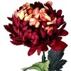 Dirbtinė gėlė chrizantema, 66 cm - Bordo