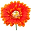 Dirbtinė gėlė gerbera, 42 cm - Balta