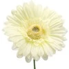 Dirbtinė gėlė gerbera, 42 cm - Balta
