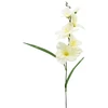 Dirbtinė gėlė kardelis, 55 cm - Baltai žalsva