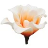 Dirbtinė gėlė magnolijos žiedas - Baltai žalsva