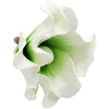Dirbtinė gėlė magnolijos žiedas, 6 vnt. - Baltai žalsva