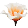 Dirbtinė gėlė magnolijos žiedas, 6 vnt. - Ruda