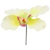 Dirbtinė gėlė orchidėjos žiedas - Balta