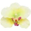 Dirbtinė gėlė orchidėjos žiedas - Žalsva