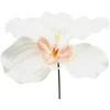 Dirbtinė gėlė orchidėjos žiedas - Žalsva