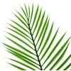 Dirbtinė gėlė palmės lapas, 52 cm