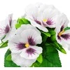 Dirbtinė našlaičių puokštė, 23 cm - Violetinė