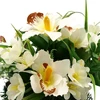 Dirbtinė orchidėjų ir zinijų puokštė vazone