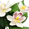 Dirbtinė orchidėjų puokštė, 27 cm - Violetinė