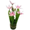 Dirbtinė orchidėjų puokštė, 30 cm - Rožinė