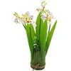 Dirbtinė orchidėjų puokštė, 32 cm