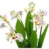 Dirbtinė orchidėjų puokštė, 32 cm