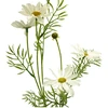 Dirbtinė ramunės šaka, 70 cm