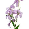 Dirbtinė violetinė raganės šaka, 80 cm