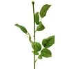 Dirbtinės rožės kotas su lapais, 60 cm