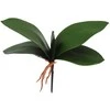 Dirbtiniai orchidėjos lapai, 25 cm