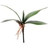 Dirbtiniai orchidėjos lapai, 25 cm