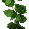 Dirbtinio skindapo lapų girlianda, 226 cm