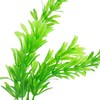 Dirbtinis akvariumo augalas