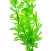 Dirbtinis akvariumo augalas