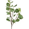 Dirbtinis eukalipto šaka su lapais, 62 cm