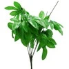 Dirbtinis pinavijos kotas, 50 cm